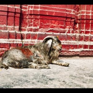 Meet your Posher, Jason